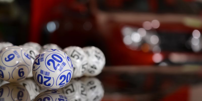 Cách nuôi dàn đề 36 số 